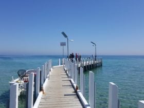 Safety Beach Pier