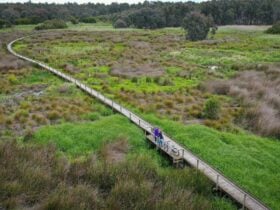 Aerial view of walkers on board walk