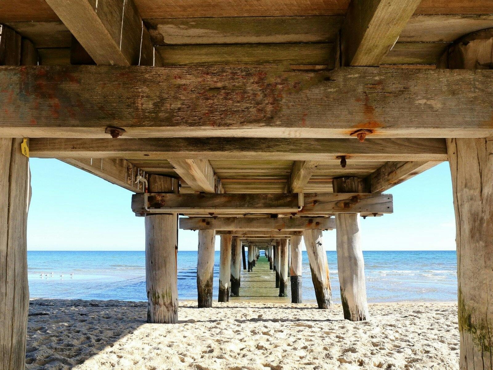 View of under the Seaford Pier