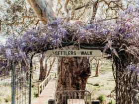 Settlers Walk, Cavendish