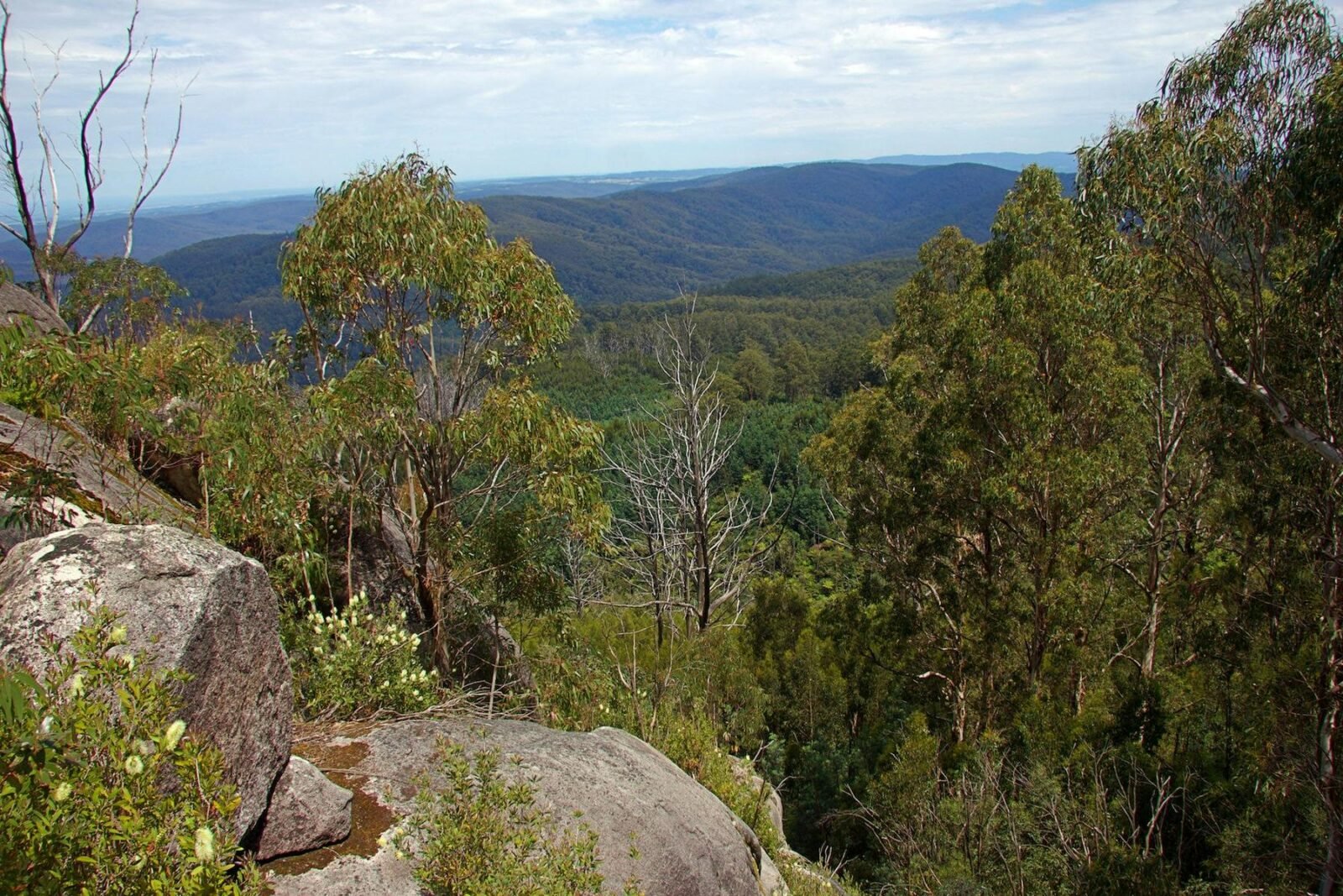 Seven Acre Rocks Scenic Walk, Gembrook, visityarravalley.com.au