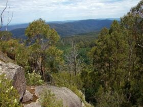 Seven Acre Rocks Scenic Walk, Gembrook, visityarravalley.com.au