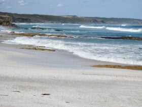 Shelly Beach - Cape Bridgewater
