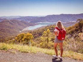 Skyline Rd Lookout