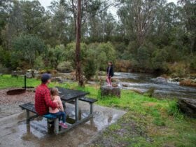 Snowy Creek Campground
