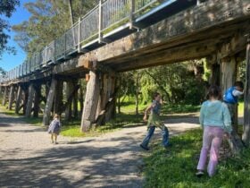 People walking on a trail underneath a timber rail bridge with walking trail above