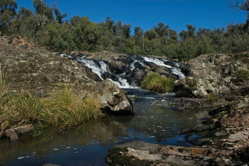 Snowy River National Park