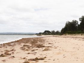 Somers Beach