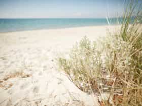 Mornington Peninsula
