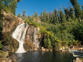 Steavenson Falls Marysville