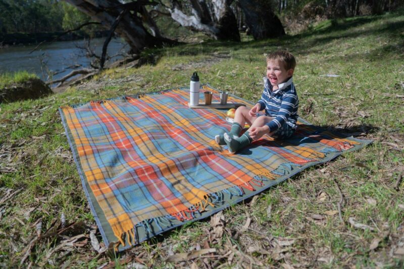 Picnic