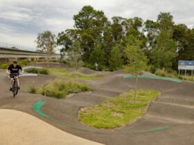 Stratford Skate Park