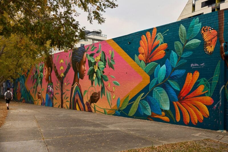 Abundance by Katherine Gailer