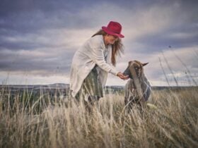 Meet the Polwarth sheep who grow the yarn