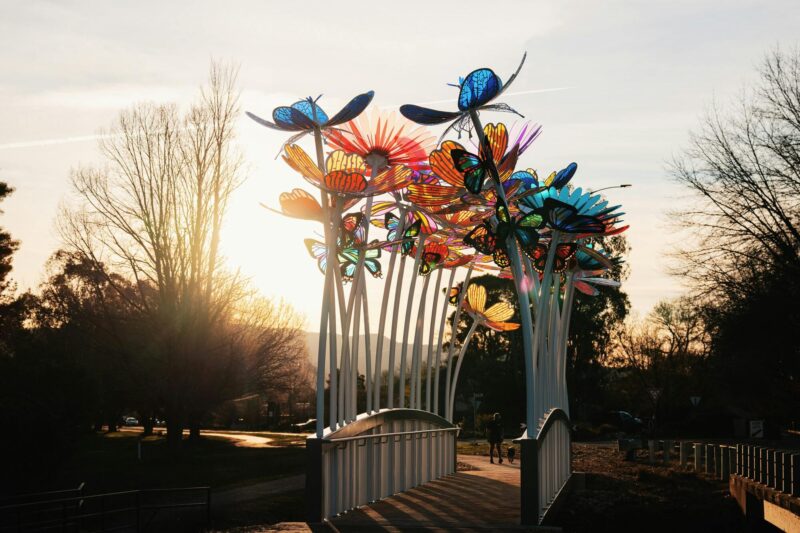 A white bridge at sunset with tall, colourful flowers along either side