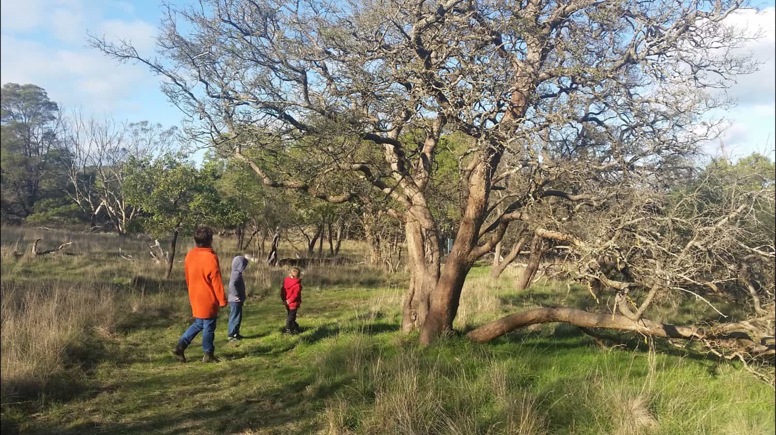Visitors walking around the Bandicoot Wildlife Walk
