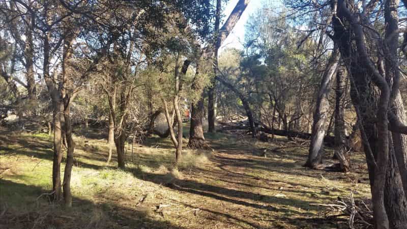 Bushland in the Bandicoit Wildlife Walk