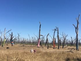 Walking Winton Wetlands