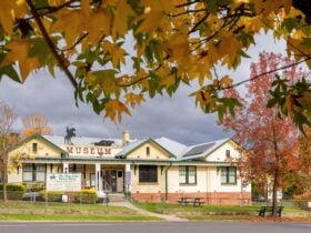 The Man From Snowy River Museum framed by autumn foliage