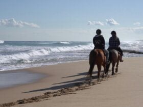 Bush n Beach Ride for Experienced and Strong Intermediate Riders