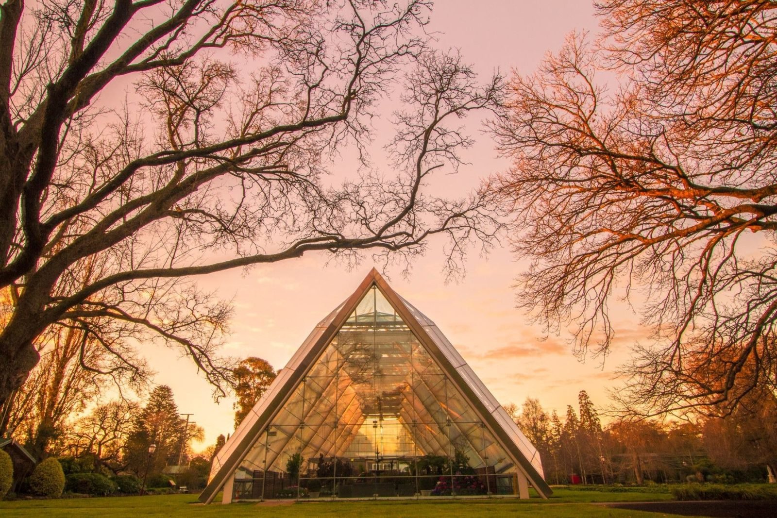 The Robert Clark Conservatory