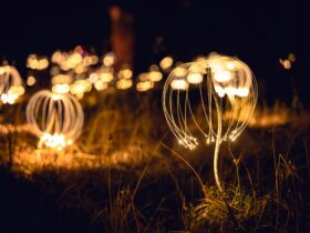 Trail of Lights by Bruce Munro
