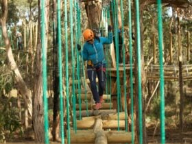 Trees Adventure Yeodene Park
