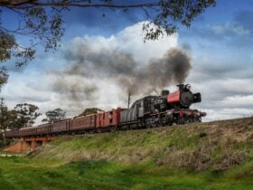 Goldfields Explorer - Steam Train