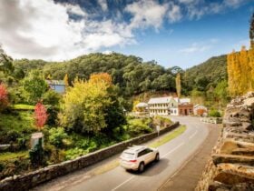 Walhalla Historic Area