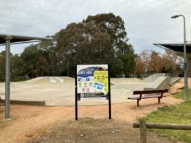 cement skate park, steps, curves, seats grass in foreground, trees in background