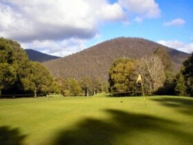 7th Green