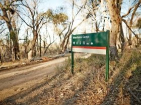 Wenhams Camp in Warby Ovens National Park