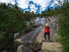 Wilhelmina Falls Walk