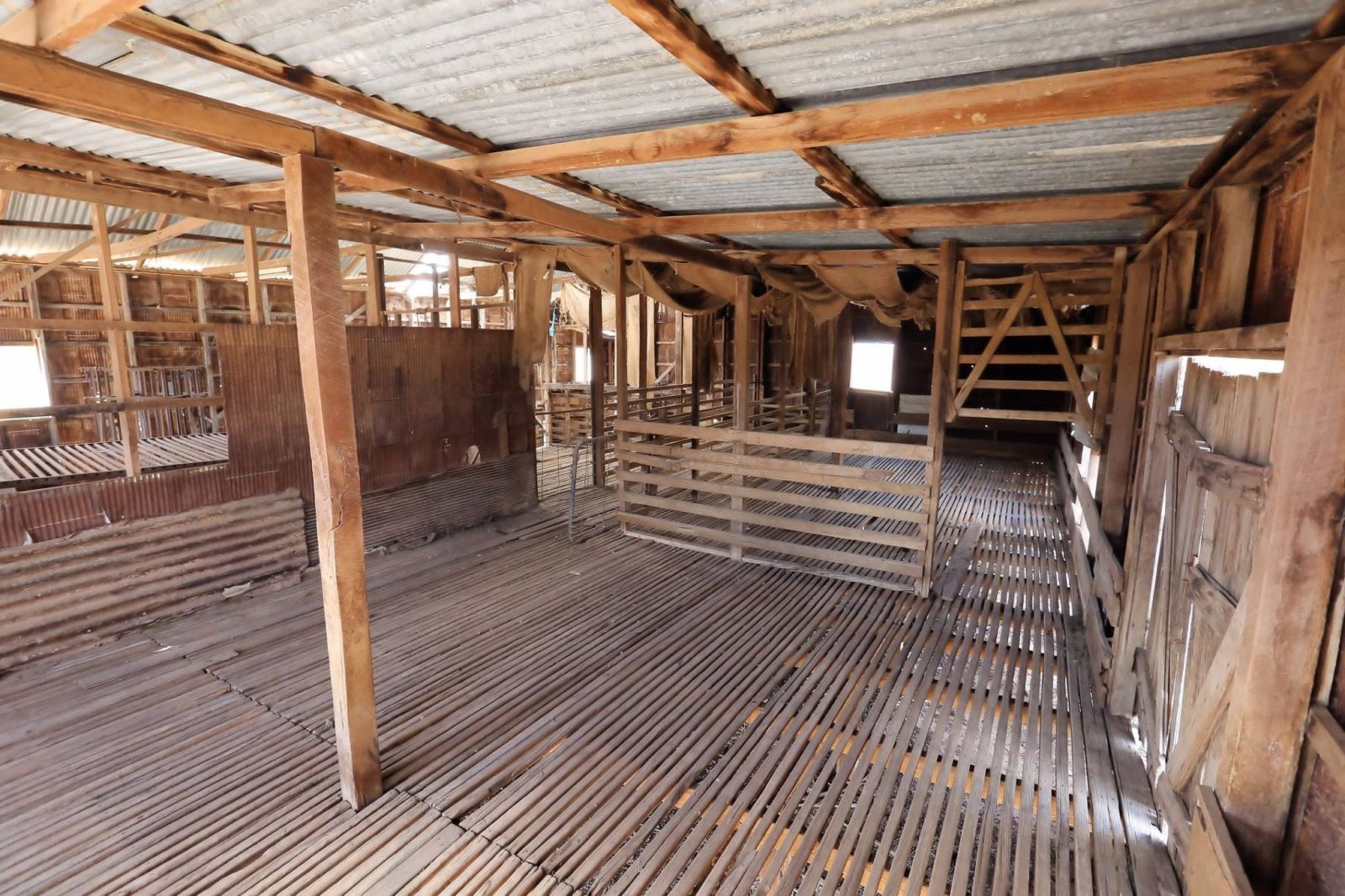 Inside the Shearing Shed