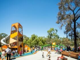 Wyndham Park playground
