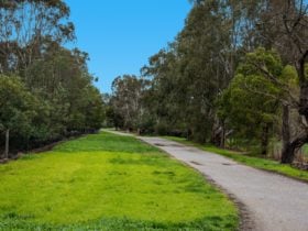Yarra Flats