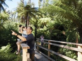 Yarra Ranges National Park