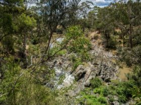 Yarrambat Park