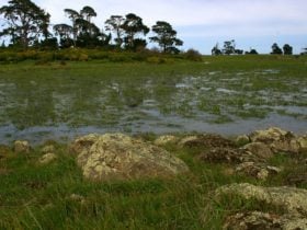 Yatmerone Reserve