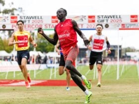 The action on track is fast and furious.