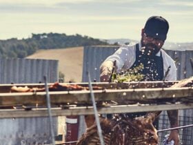 A Western Victorian Campfire Tale at Itinerant Spirits