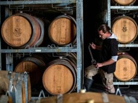 Wine Maker
