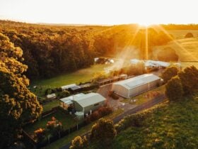 17 Pounds Country Estate