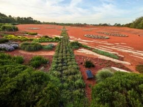 Red Sand Garden