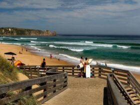 cape woolamai