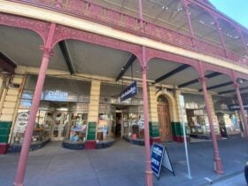 An image of the front of Collins Books on Lydiard Street