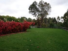 a courtyard with lights