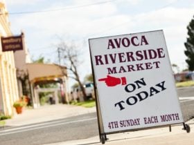 Avoca, market, local produce, covid safe
