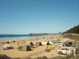 Busy beach with tents, parked vans and people enjoying the sunny shorline