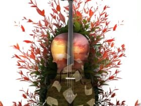 violin with red leaves sprouting out all around it